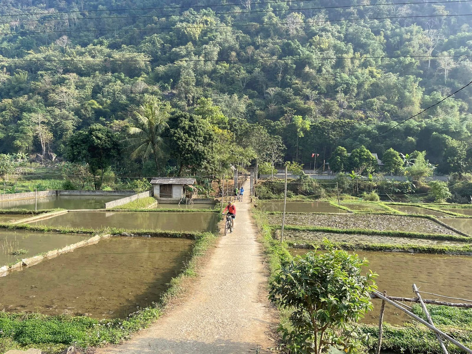 Vietnam Northwest Offroad Mountain Biking Tour 9 Days